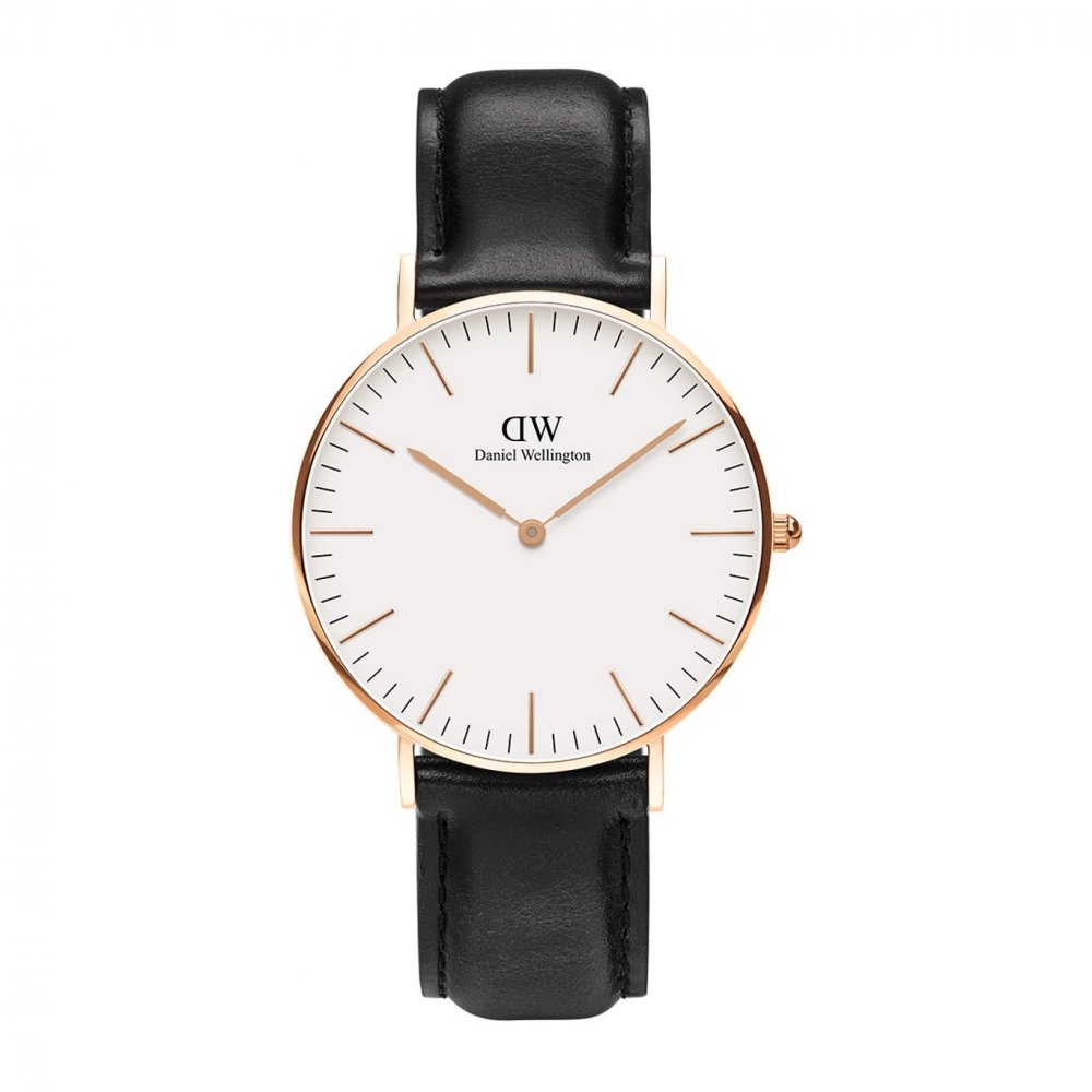 DW - Classic Sheffield Rose